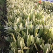 时代报告